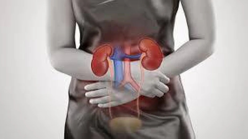 প্রস্রাবে ইনফেকশনের লক্ষণ ও করণীয়