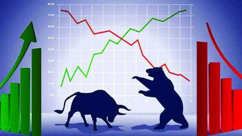 হিমাদ্রির শেয়ারদর বেড়ে ছয় মাসে ১০৬ গুণ