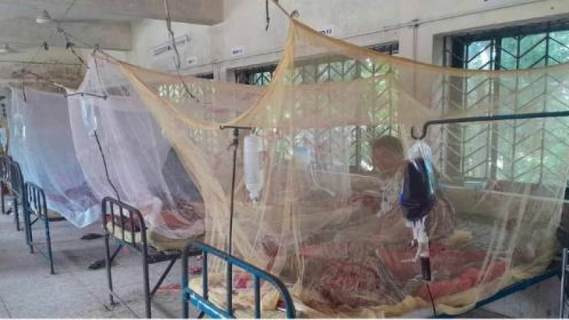 বরগুনার আমতলীতে নরমাল স্যালাইনের সংকটে রোগীদের ভুগান্তি