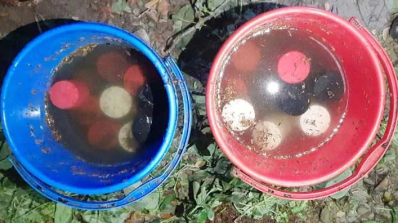 বেনাপোল স্থলবন্দর এলাকা থেকে ২৫টি ককটেল উদ্ধার, র‍্যাবের অভিযানে