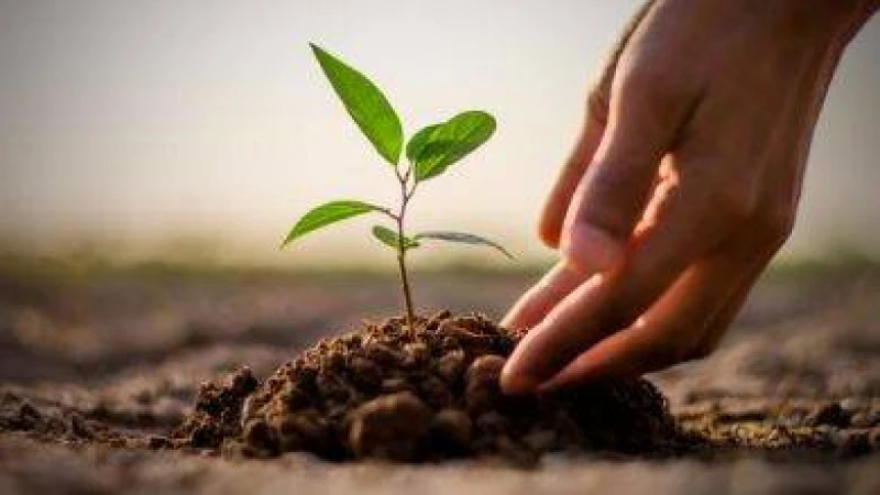 উত্তম চরিত্রের ভূষণ শালীনতা বা লাজুকতা