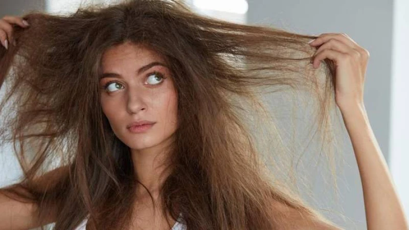 গরমে চুল শুষ্ক হয়ে গেলে যত্ন নিন এভাবে