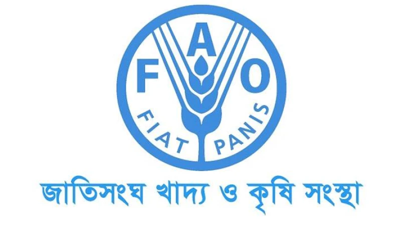 জাতিসংঘের খাদ্য ও কৃষি সংস্থায় চাকরির বিজ্ঞপ্তি