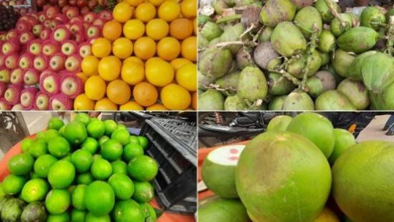 ডেঙ্গুর হানা ফলের বাজারে, বেশি বেড়েছে মাল্টার দাম