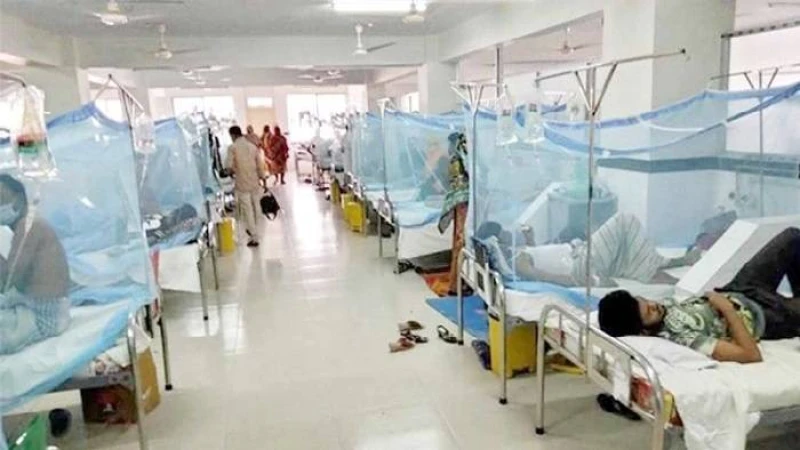 ডেঙ্গুতে আক্রান্ত হয়ে আরও ১১ জনের মৃত্যু, হাসপাতালে নতুন ভর্তি ২৯৪৪