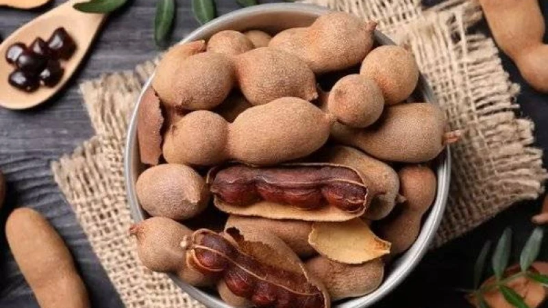 তেঁতুলের ঔষধি বৈশিষ্ট্য