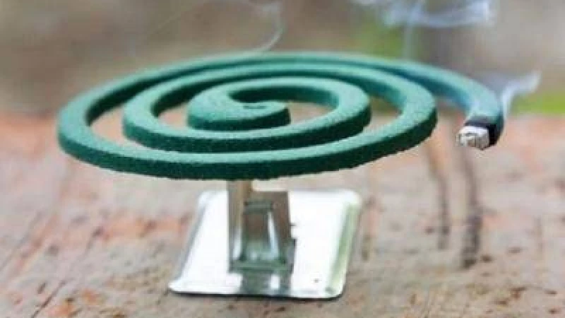 মশার কয়েলের ধোঁয়ায় সৃষ্ট সমস্যা