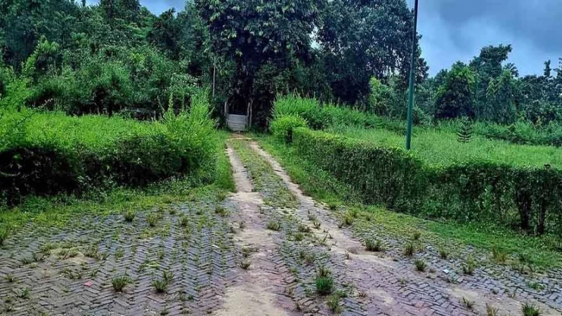 জলবায়ু তহবিলের প্রায় ৪ কোটি টাকায় চট্টগ্রামের প্রথম বোটানিক্যাল গার্ডেন ধ্বংসের পথে