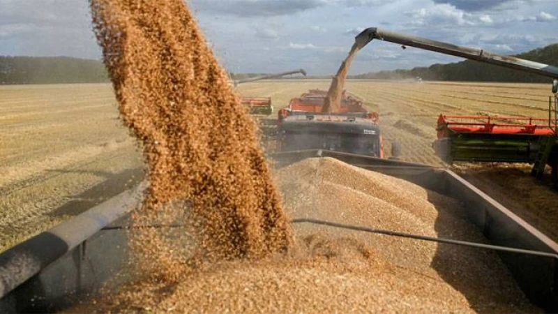 ইউরোপের তিন দেশ নিষিদ্ধ করল ইউক্রেনের শস্য আমদানি