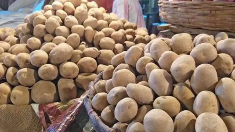 ব্যবসায়ীদের সঙ্গে আলোচনা হতে পারে আলুর দাম কমাতে