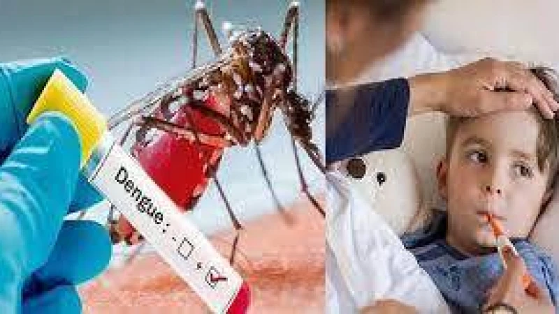 ডেঙ্গু ও ভাইরাস জ্বরের পার্থক্য