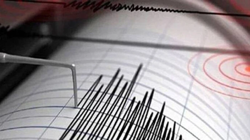 নিউজিল্যান্ডে ৬.২ মাত্রা ভূমিকম্প অনুভূত এক মিনিটেরও বেশি