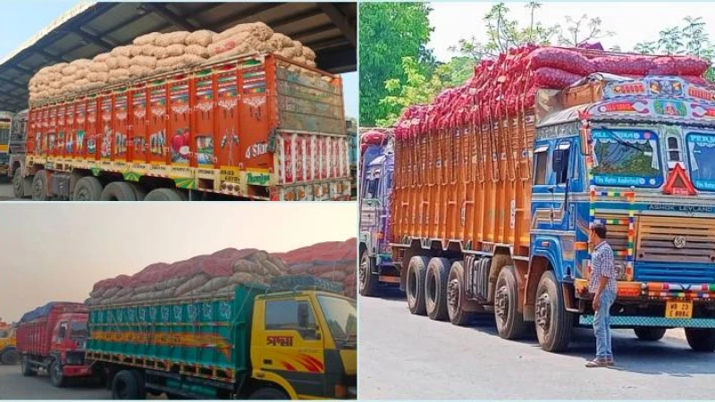 টিসিবির ২০১ টন পেঁয়াজ আমদানি বেনাপোল বন্দর দিয়ে