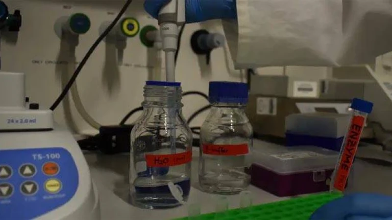 প্লাস্টিক ধ্বংসে এনজাইম খুঁজে পেল জার্মানির গবেষকেরা