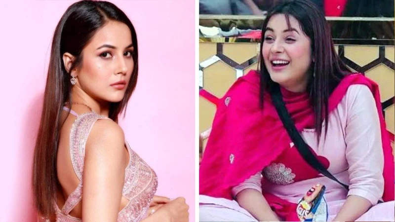 ওজন কমিয়ে বলিউডে অভিষেক শেহনাজ গিলের