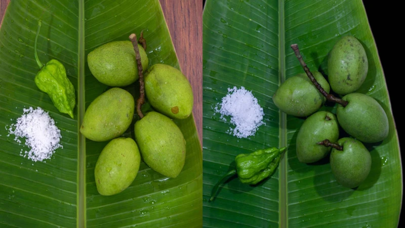 যেভাবে ঘরোয়া পদ্ধতিতে জলপাই সংরক্ষণ করবেন