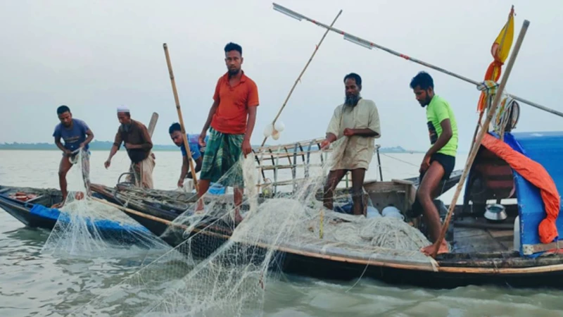 ইলিশ ধরায় আটক অর্ধশতাধিক জেলে