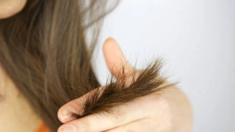 চুলের আগা ফেটে যাওয়ার কারন কী?
