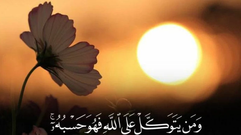 আল্লাহর ওপর ভরসা রাখার উপায়