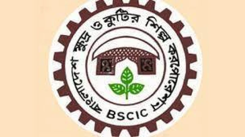 বিসিক শিল্পনগরে ১০ শতাংশ প্লট পাবেন নারী উদ্যোক্তারা