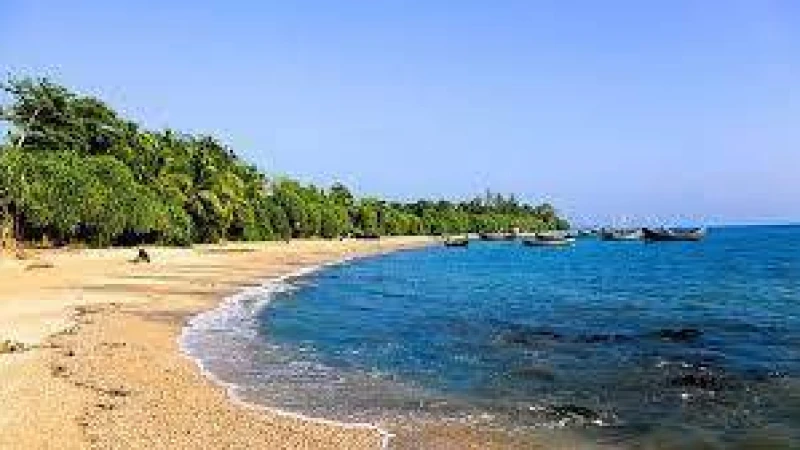 নির্বাচনে বন্ধ থাকবে কক্সবাজার-সেন্টমার্টিনের হোটেল