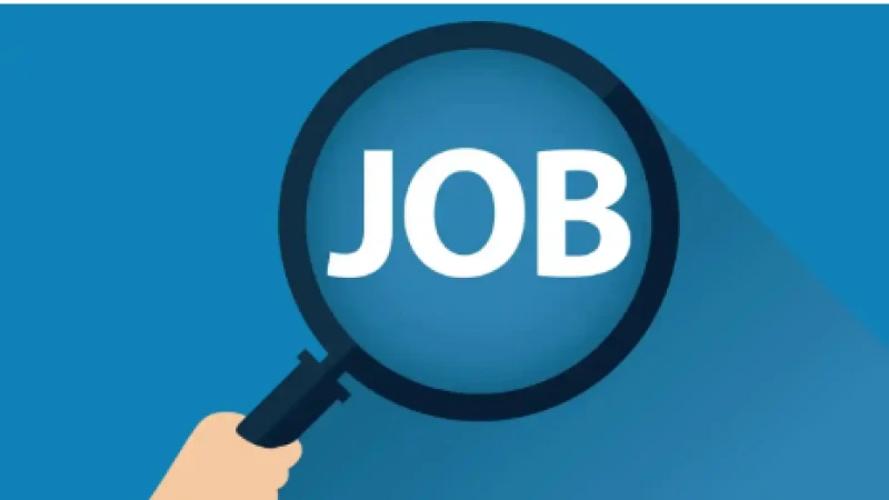 ৯ম-২০তম গ্রেডে নভোথিয়েটারে  ৩০টি পদে চাকরি