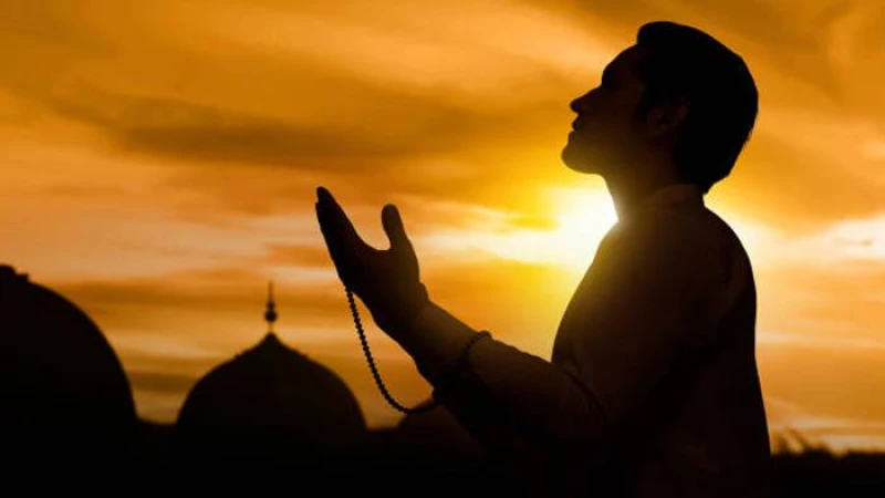 যারা মহানবী (সা.)-এর জীবনী সংকলন করেন