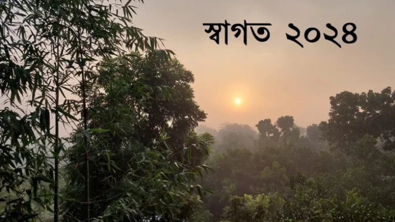 সবার জন্য শুভ হোক ২০২৪, হ্যাপি নিউ ইয়ার