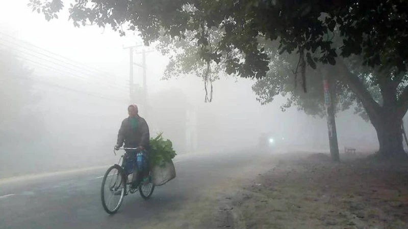 দিনাজপুরের ফুলবাড়ীতে শৈত্যপ্রবাহে কাবু ফুলবাড়ীবাসী
