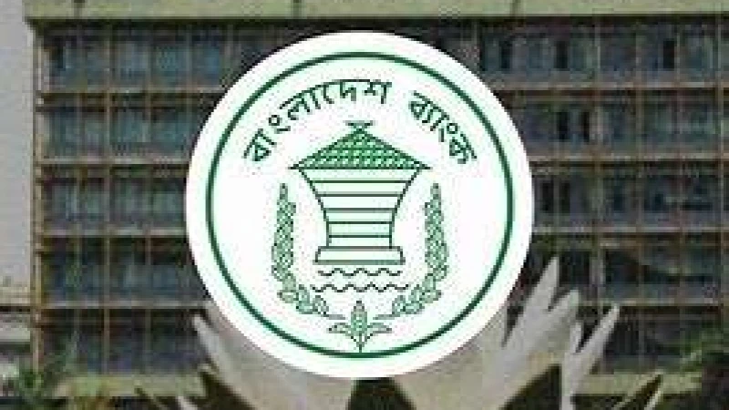 ৩৩ হাজার কোটি টাকা ঋণ বেড়েছে অনুৎপাদনশীল খাতে