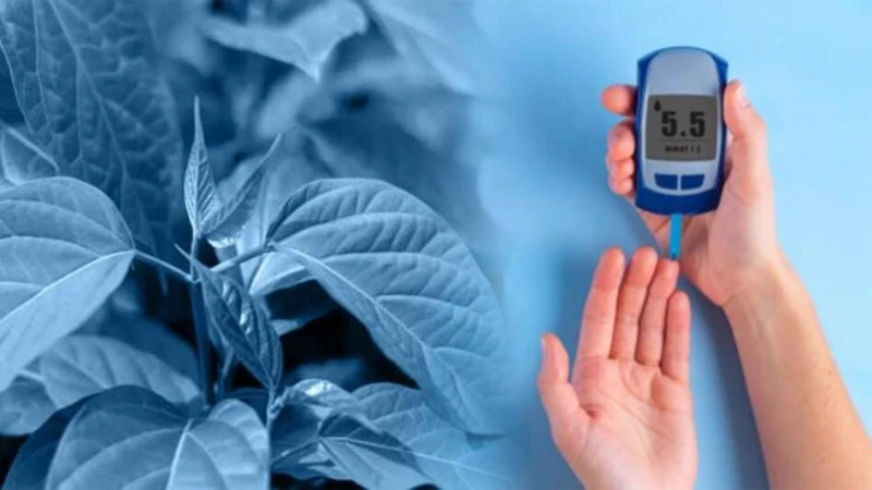 ডায়াবেটিক রোগ  নিয়ন্ত্রণের টিপস