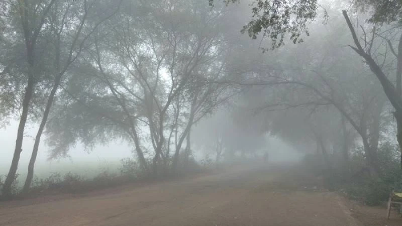 দেশের সর্বনিম্ন তাপমাত্রার রেকর্ড চুয়াডাঙ্গায়