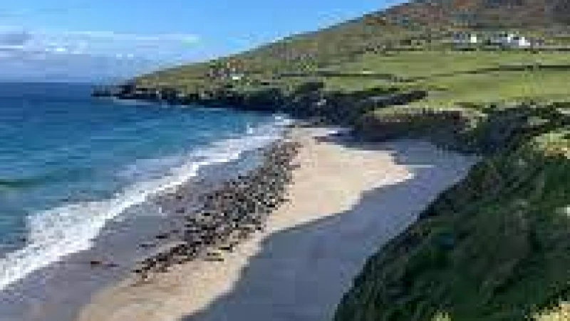 যে শর্তে বিনামূল্যে থাকা-খাওয়ার অফার দিচ্ছে এই দ্বীপ