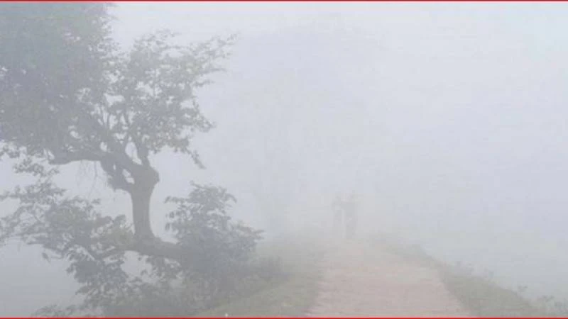 শৈত্যপ্রবাহ নিয়ে যে বার্তা দিলো আবহাওয়া অফিস