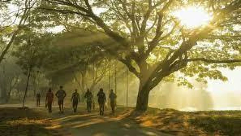 শীত আরও কমতে পারে, তাপমাত্রা বাড়ছে