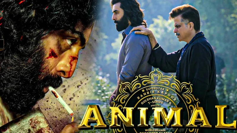 ওটিটিতে ‘অ্যানিমেল’ মুক্তি নিয়ে জটিলতা! দিল্লি হাইকোর্টে মামলা 