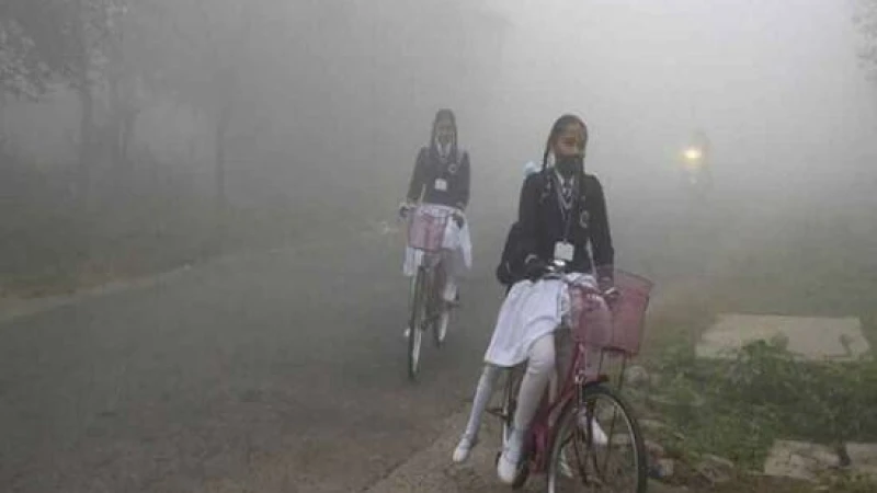 তীব্র শীতে স্কুল বন্ধ কুড়িগ্রাম, জয়পুরহাট ও ঈশ্বরদীতে  