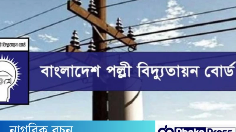 পল্লী বিদ্যুতে ৩৩ পদে নিয়োগ বিজ্ঞপ্তি