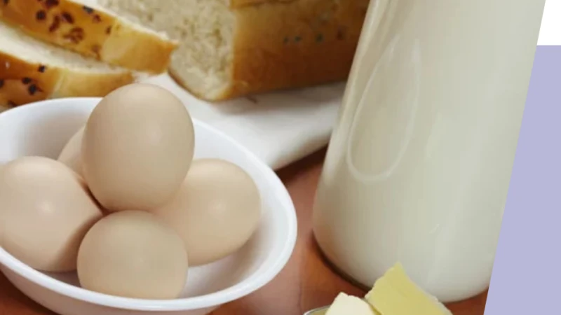 মিড ডে মিলে খিচুড়ির বদলে ডিম, দুধ-রুটির প্রস্তাব