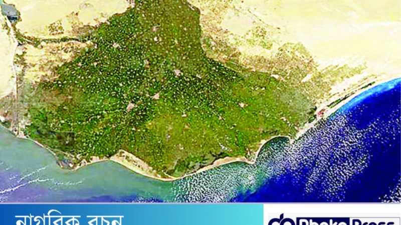 বাংলাদেশকে ব-দ্বীপ বলা হয় কেন?