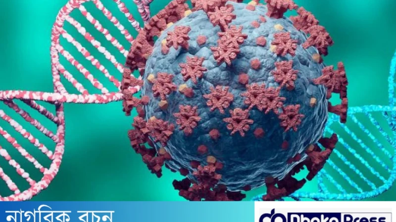 শীতের সঙ্গে বাড়ছে করোনা সংক্রমণ