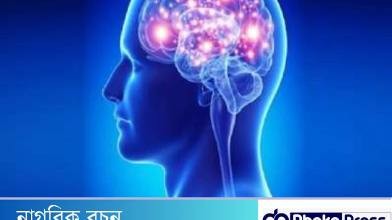 মস্তিষ্কের ক্ষতি করে যেসব বদঅভ্যাস