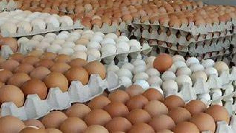 ডিম বেচে রেকর্ড ৭০০ শতাংশ মুনাফা মার্কিন কোম্পানির