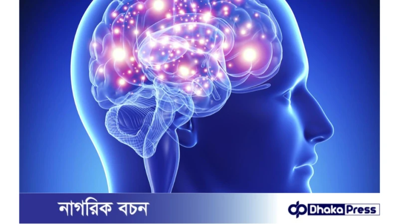 যে ৫ উপায়ে মস্তিষ্কের কার্যক্ষমতা বাড়ানো যায়