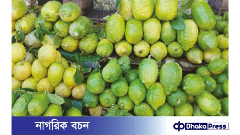 রমজানে লেবুর দাম আকাশচুম্বি: রোজাদারদের হতাশা