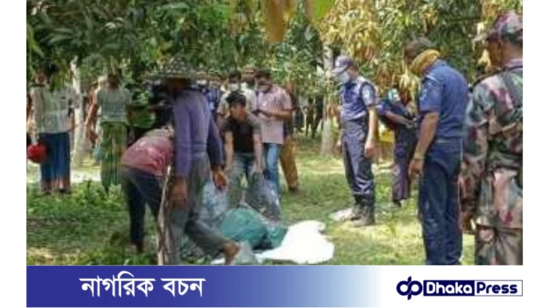 যশোরে সোনা পাচারকারীর লাশ উদ্ধার, ৫ কোটি টাকার স্বর্ণ জব্দ