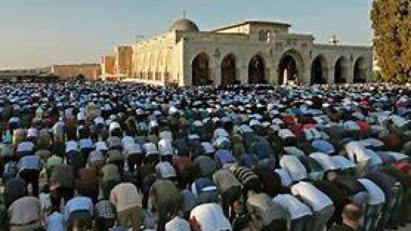 মসজিদুল আকসায় জুমার নামাজে আড়াই লাখ মুসল্লি