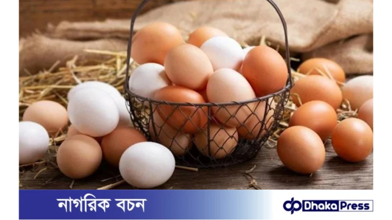 সাদা ডিম বনাম লাল ডিম, কোন ডিমে পুষ্টি বেশি