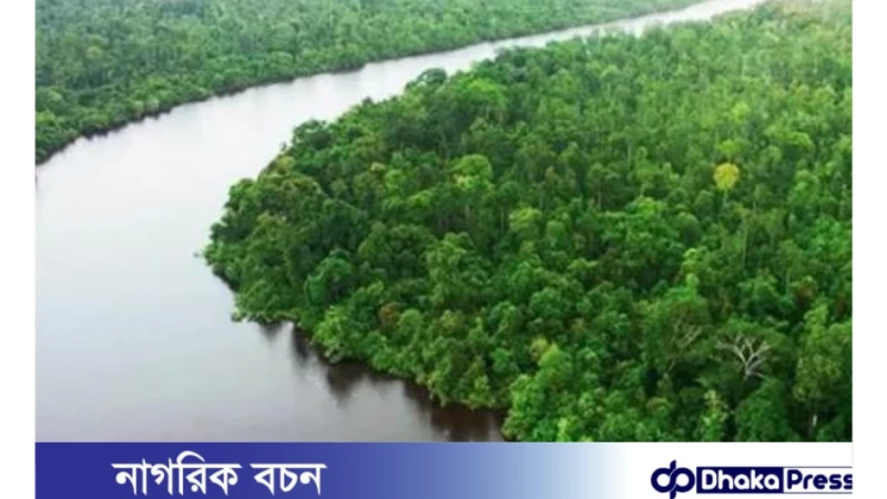 সুন্দরবন হলো বঙ্গোপসাগর উপকূলবর্তী অঞ্চলে অবস্থিত একটি প্রশস্ত বনভূমি