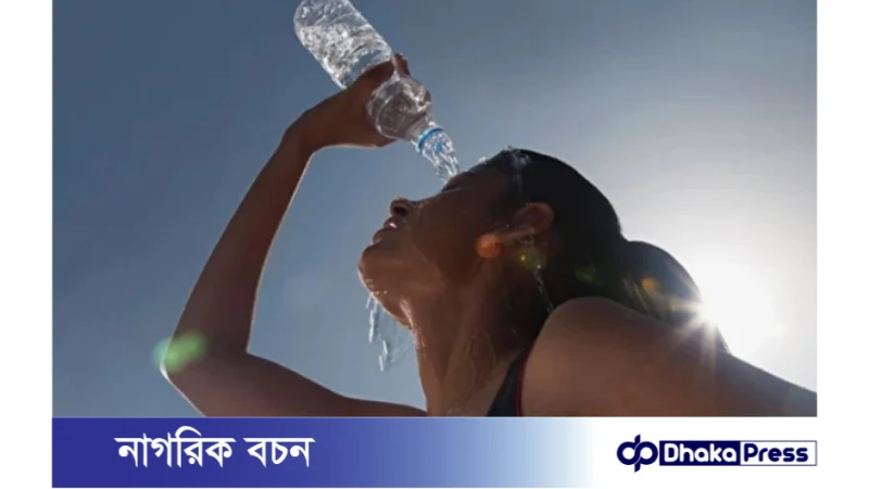 বৈশাখের তীব্র তাপদাহে করনীয়